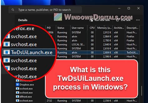 what is twdsuilaunch.exe|What does TwDsUiLaunch.exe do and Can I Disable。